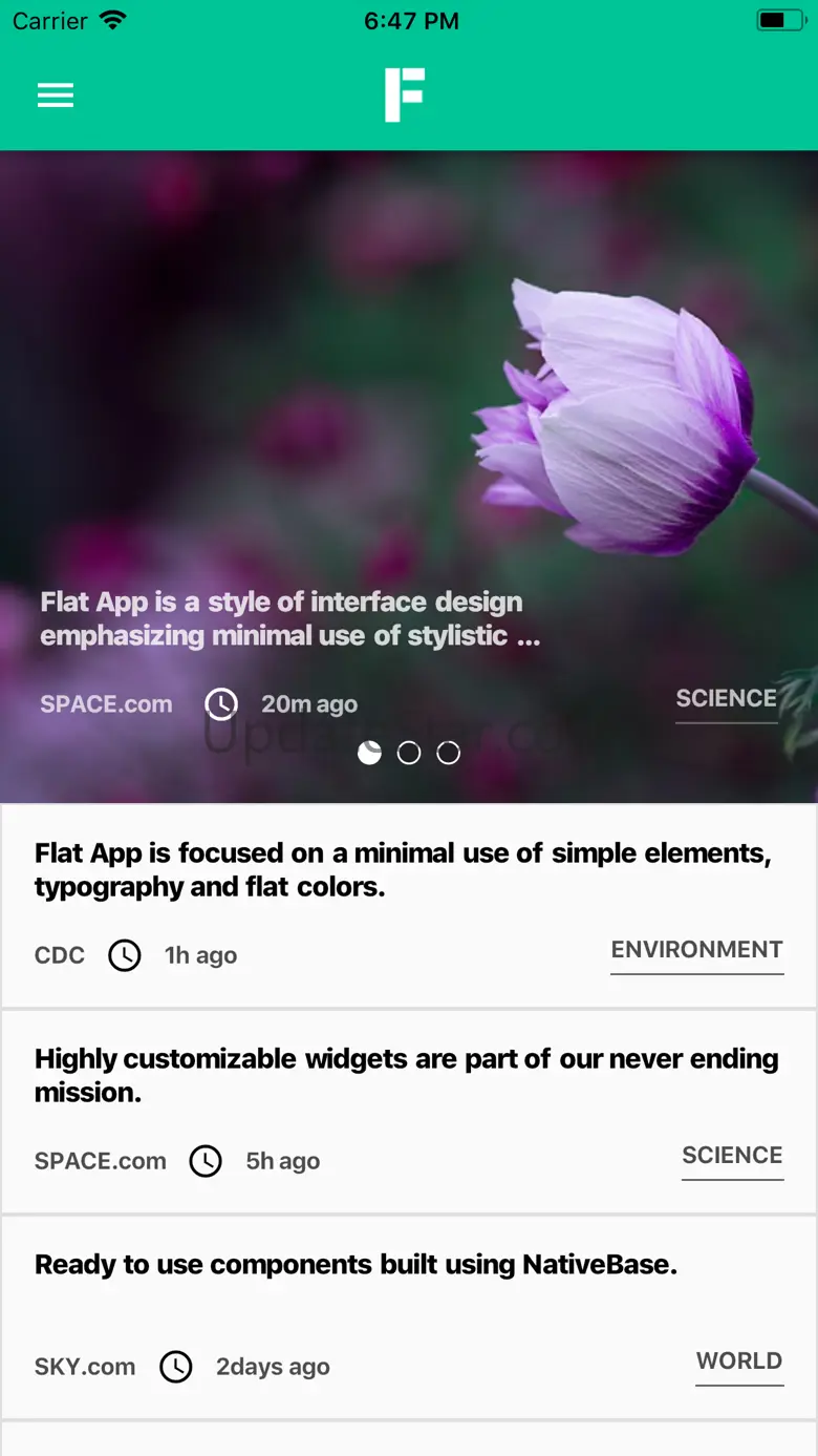 Flutter Flat App 1.1