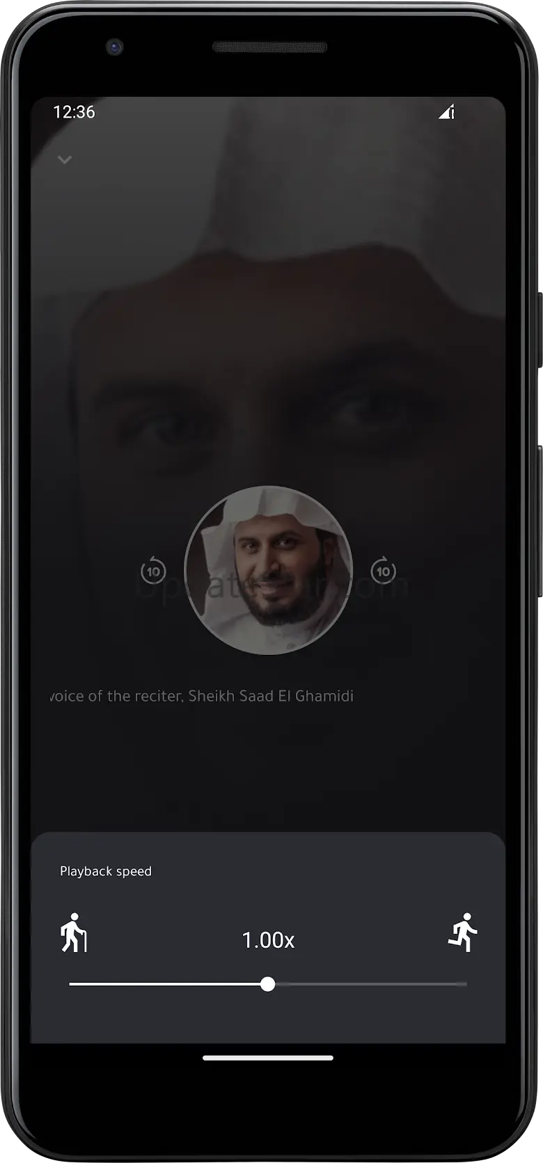 El Ghamidi Quran without net 3.0.0