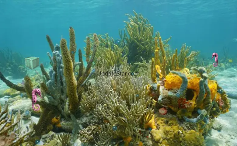 Underwater Treasure Escape 1.0.2