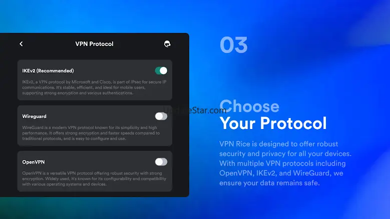 VPN Rice for Android TV 1.3.1