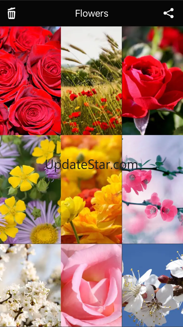 Flowers HD Wallpaper - Great Collection 1.0.0