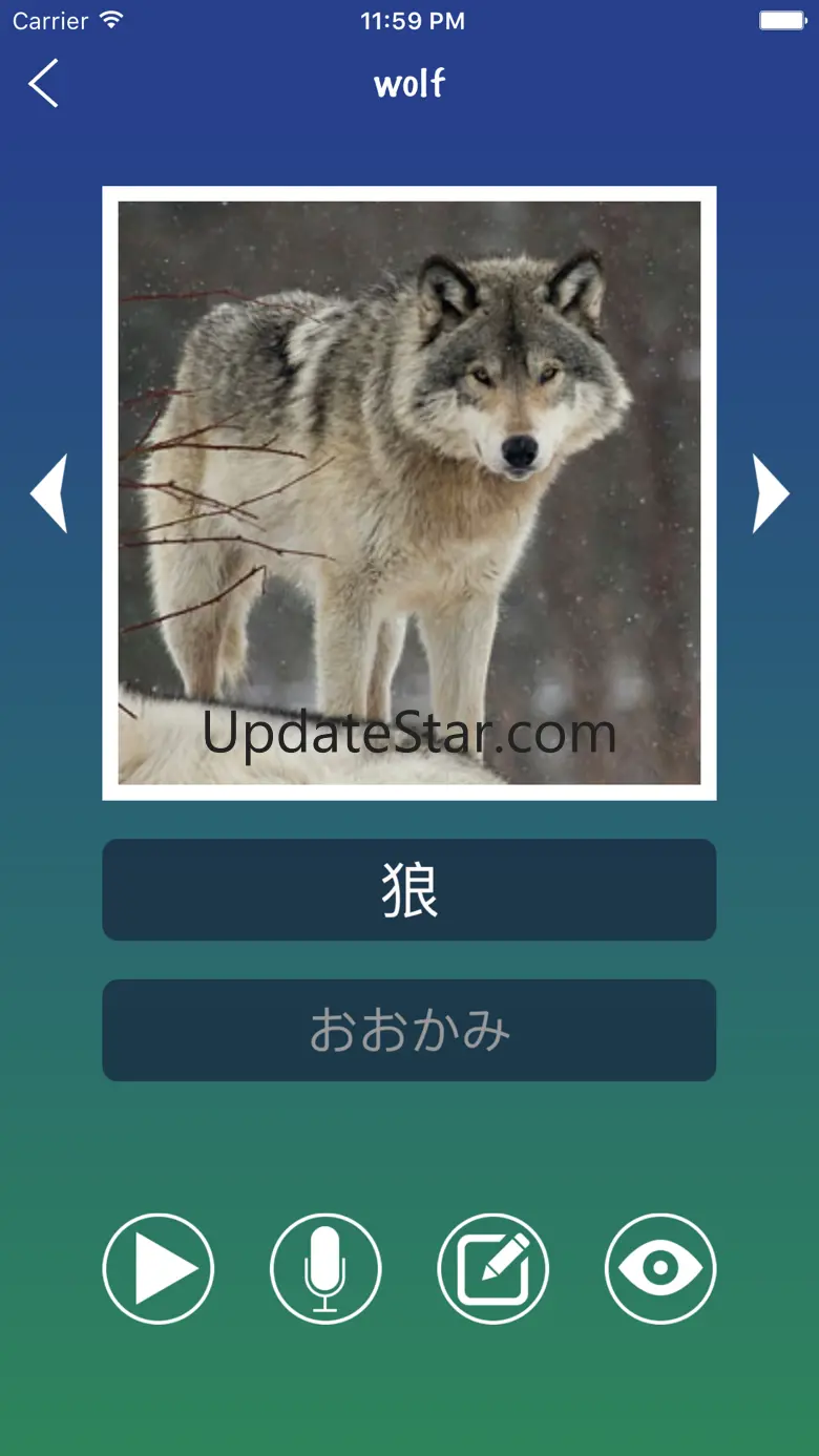 Japanese Word Flashcards Learn 23.11.11