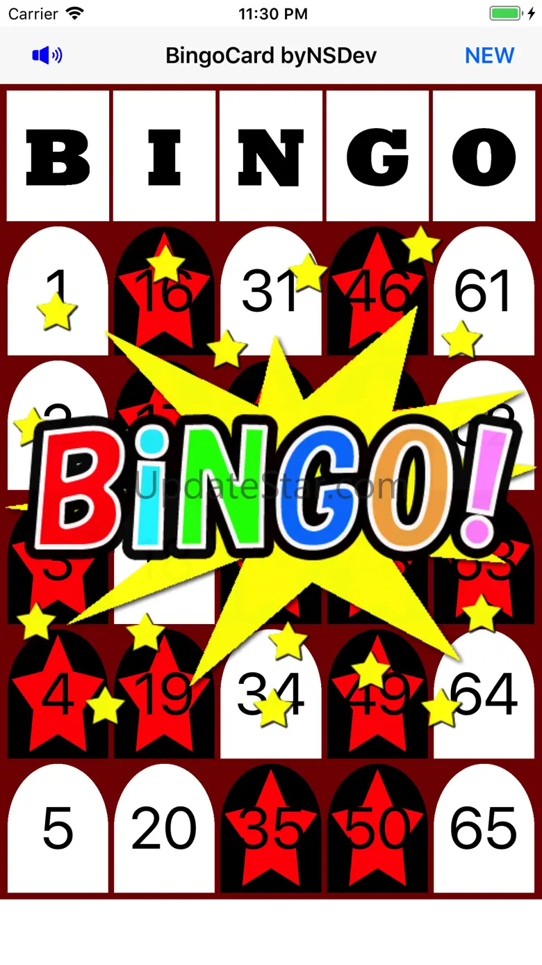 BingoCard byNSDev 1.0.2