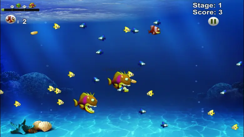 Fish Feeding 2022 1.4