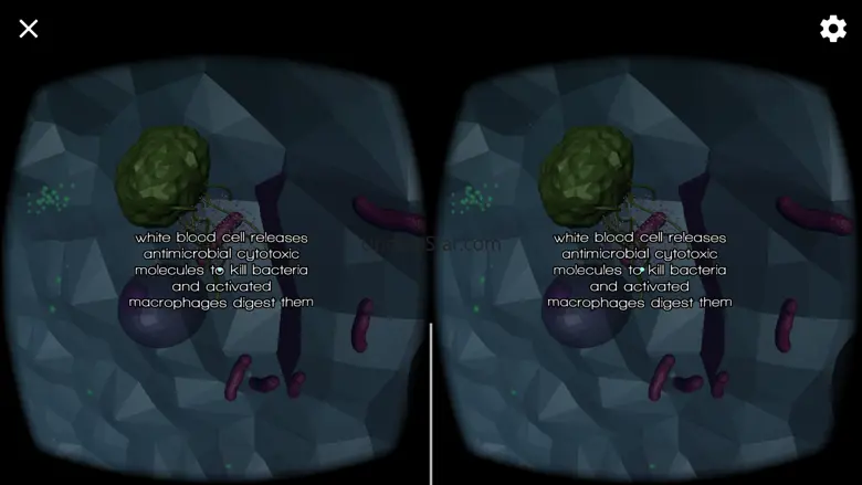 MoleculE 2 VR 1.0