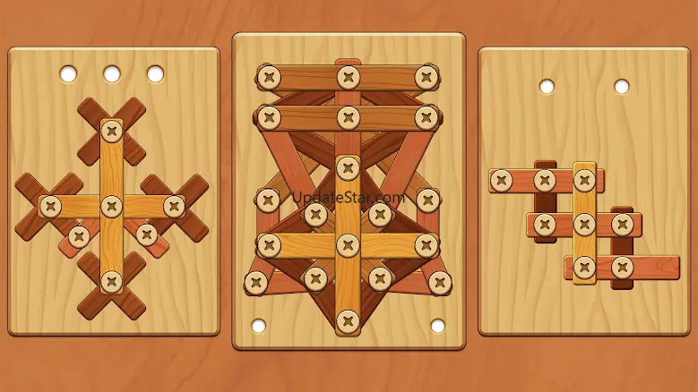 Wood Screw Puzzle 2.23