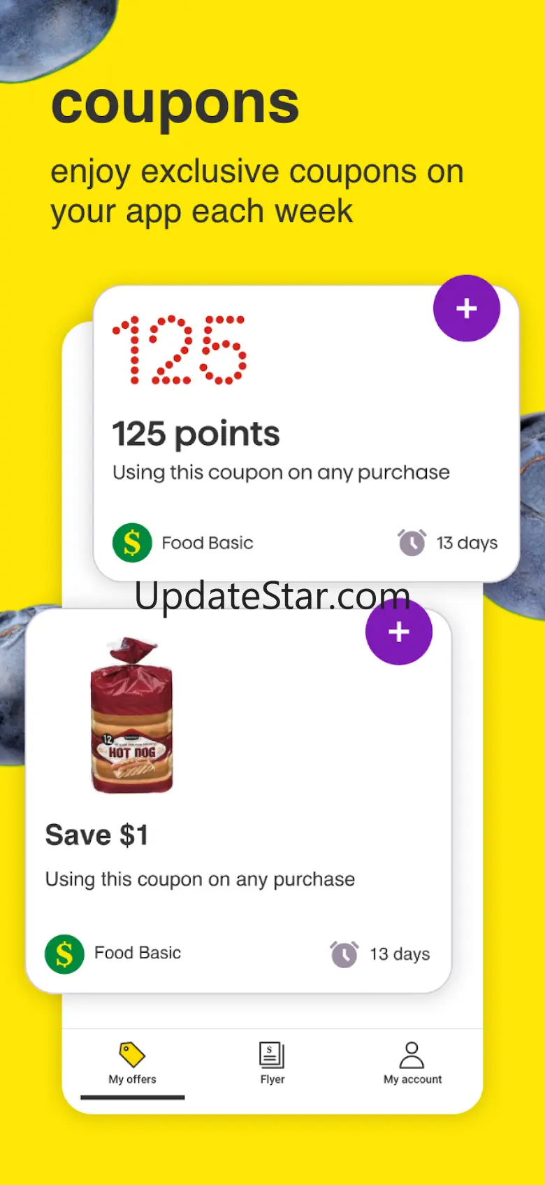 Food Basics 3.1.202410181