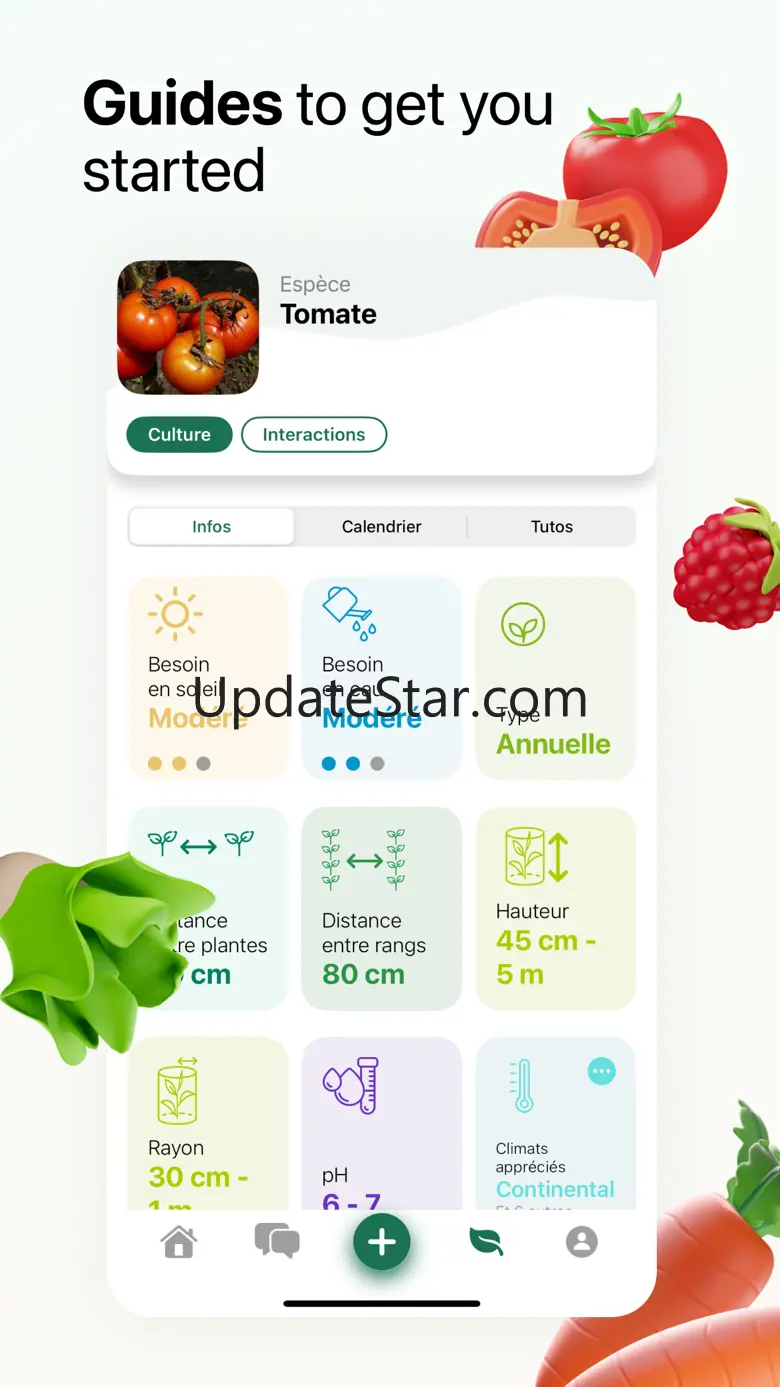 Tomate & Basilic- Permaculture 6.0.3