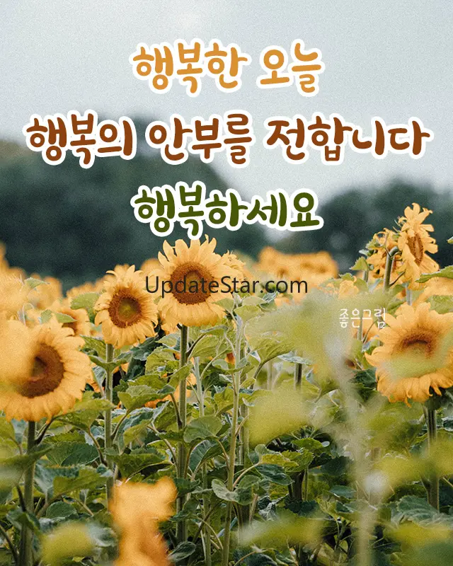 좋은하루-인사말 이미지 배경화면 좋은아침 글귀