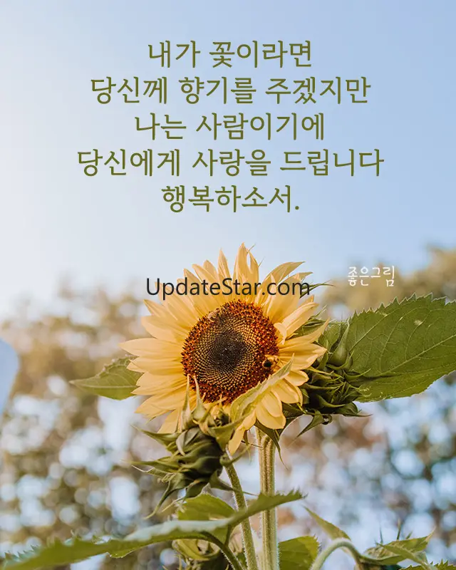 좋은하루-인사말 이미지 배경화면 좋은아침 글귀