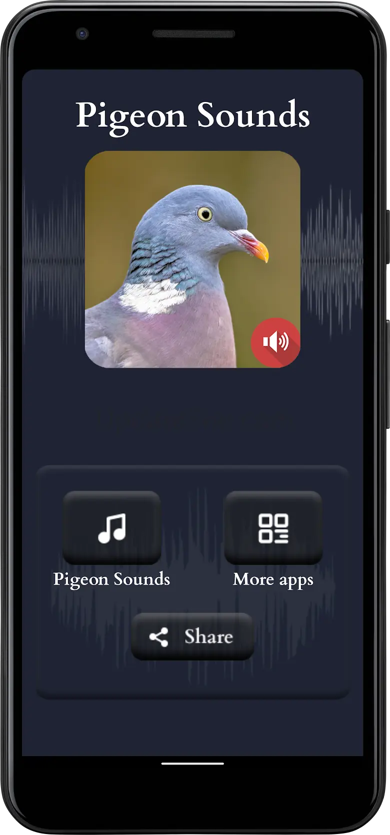 Pigeon Sounds 37.0.0
