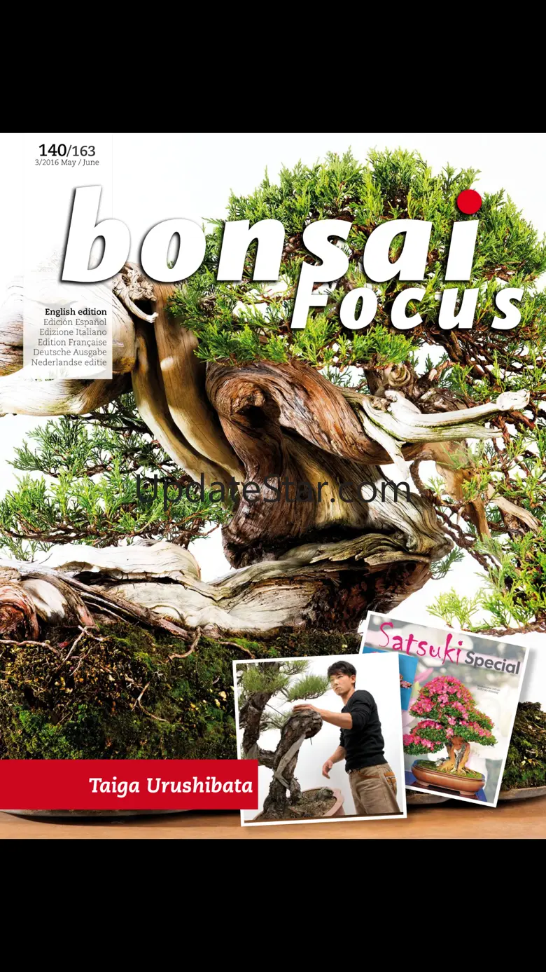 Bonsai Focus EN 8.4.12