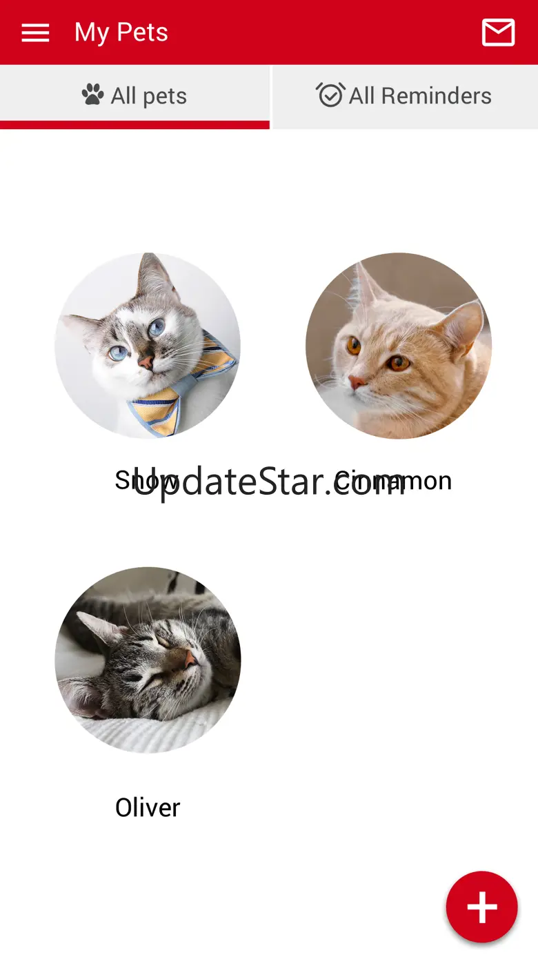 City Kitty Vet 300000.3.46