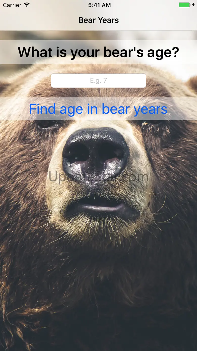 Bear Years - Fun For Kids! 1.0.2