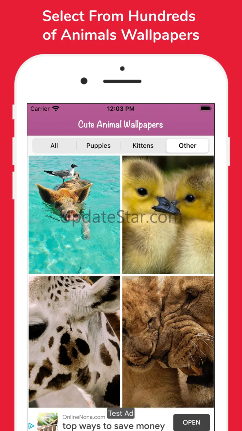 Cute Animal HD Wallpapers 1.3