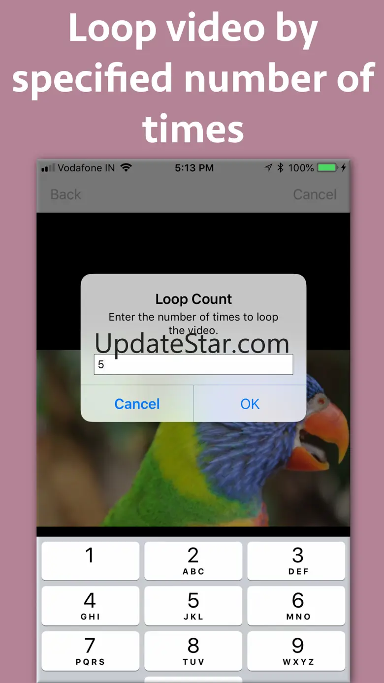Video Looper Pro 5.1
