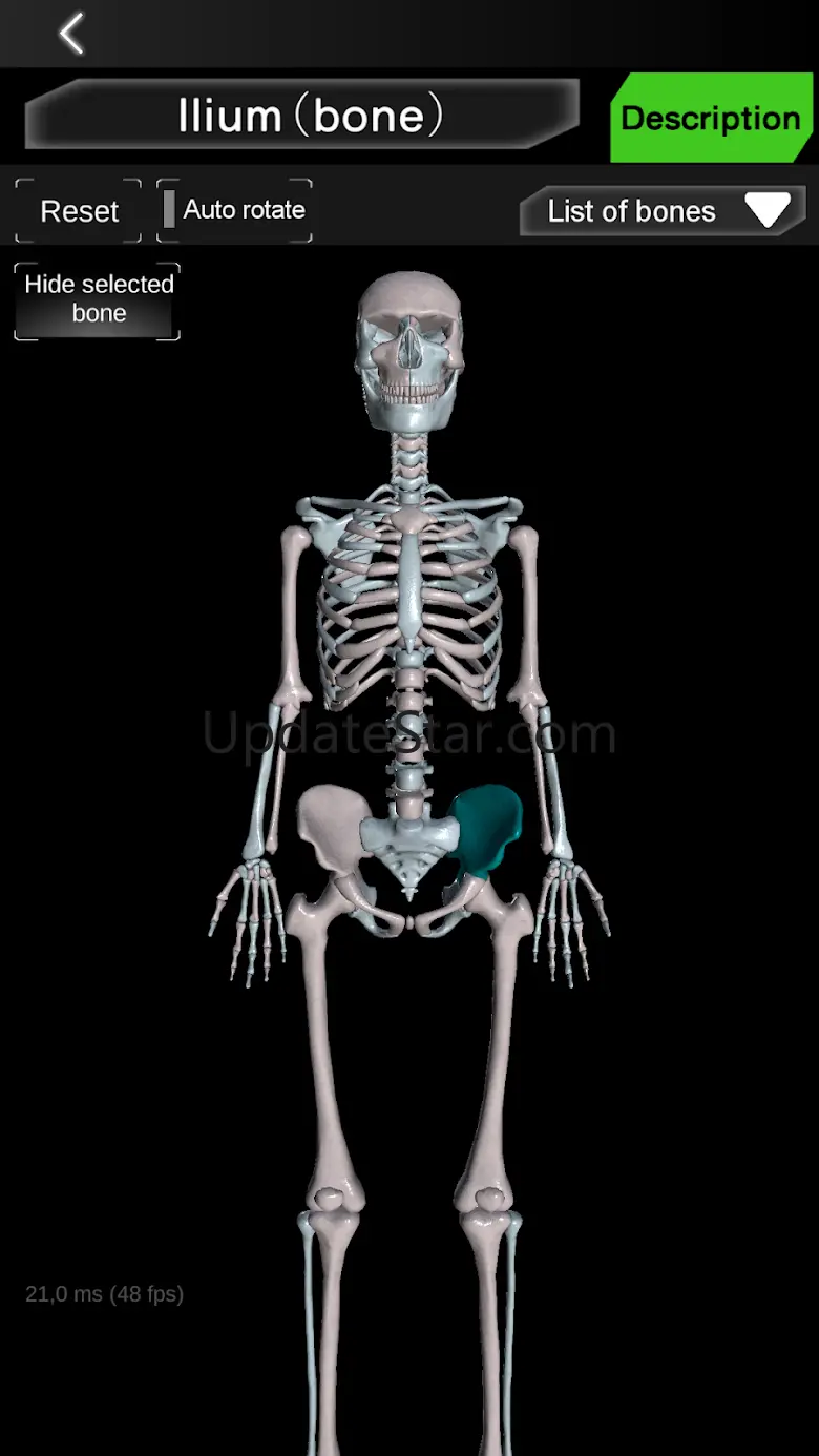 Osseous System in 3D (Anatomy) 4.01
