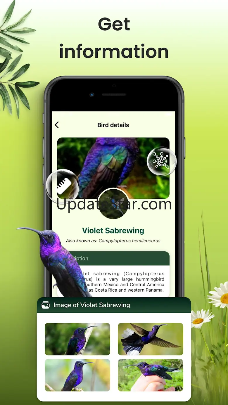 BirdID - Sound Bird Identifier 1.0.7