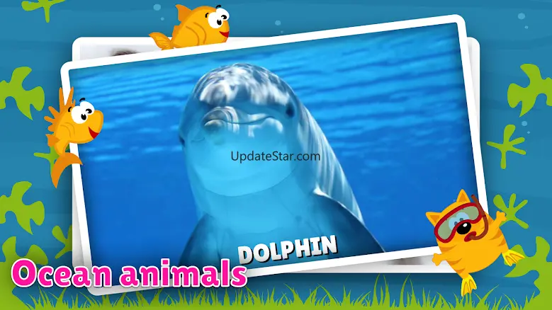 Animal flashcard & sounds 2024.37