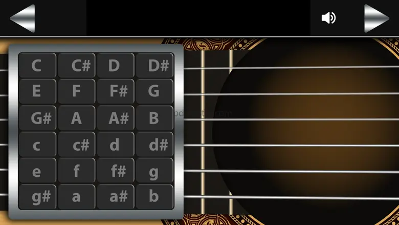 Live Quartet 1.0