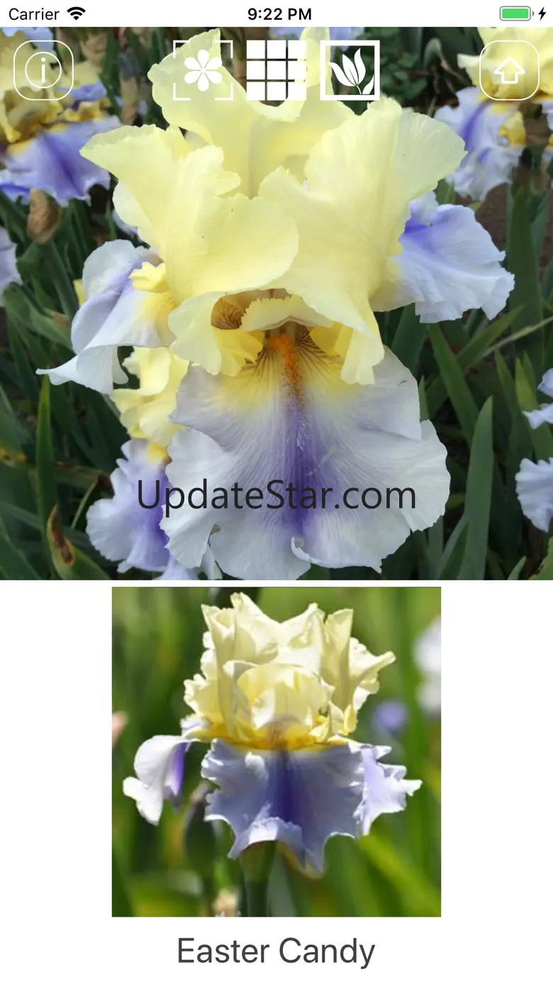 Instant Iris 1.3