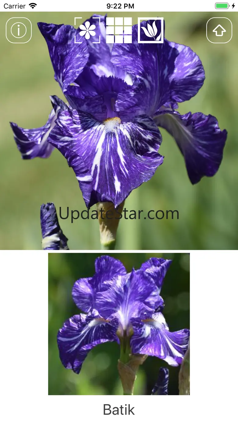 Instant Iris 1.3