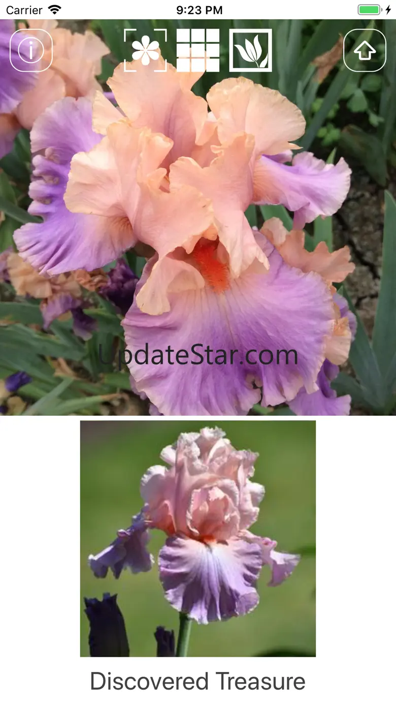 Instant Iris 1.3