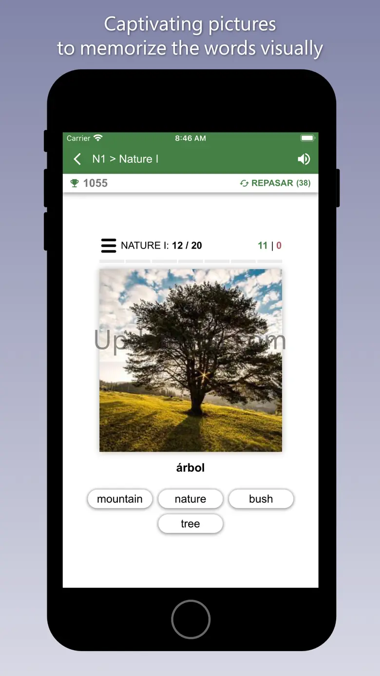 Learn English with Bilinguae 4.3.6