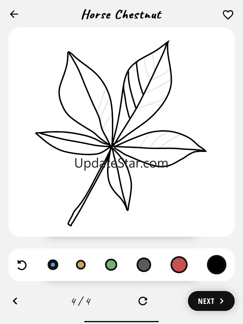 How to draw flowers tutorials 4.3