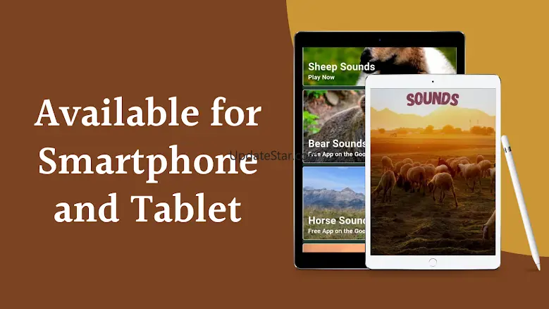 Sheep Sounds 4.1