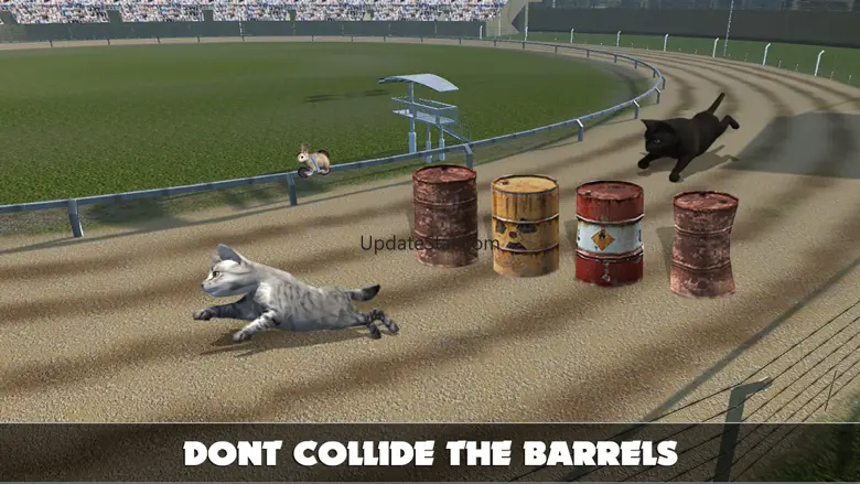 Cat Racing Free Game 1.0