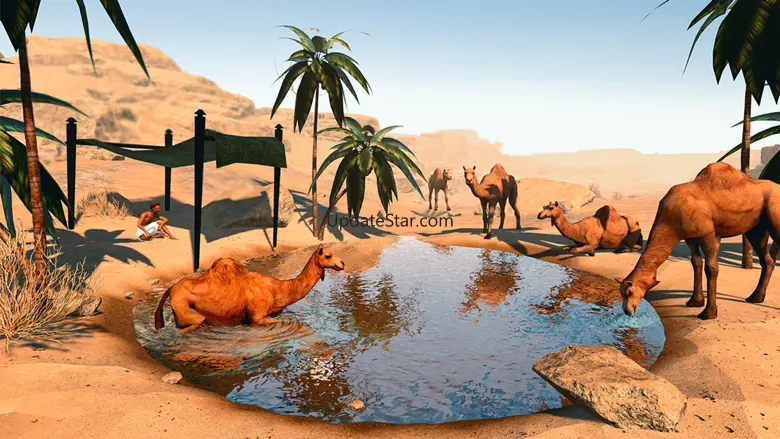 Camel Life Survival Simulator 1.3