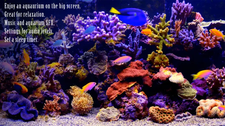 Amazing Aquariums In HD 3.2