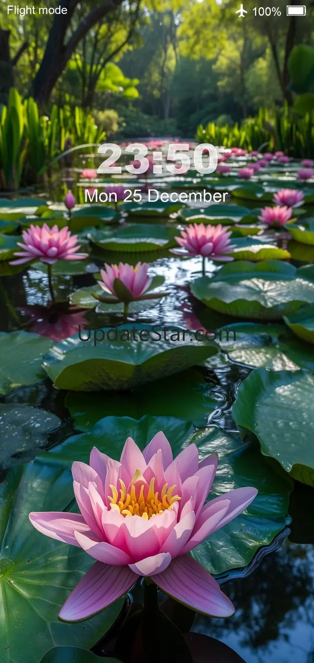 Nature Wallpapers 4K 154.3d.2