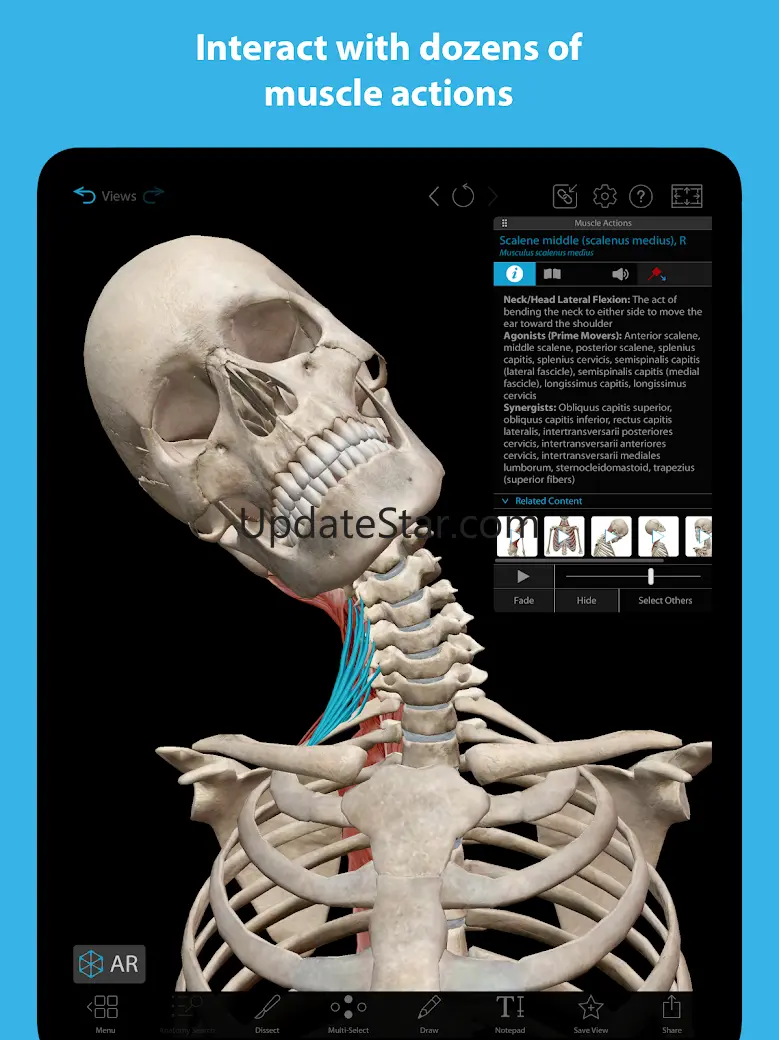 Muscles & Kinesiology 9.0.50