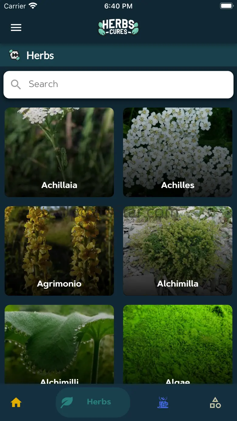 Herbs Cures 1.6