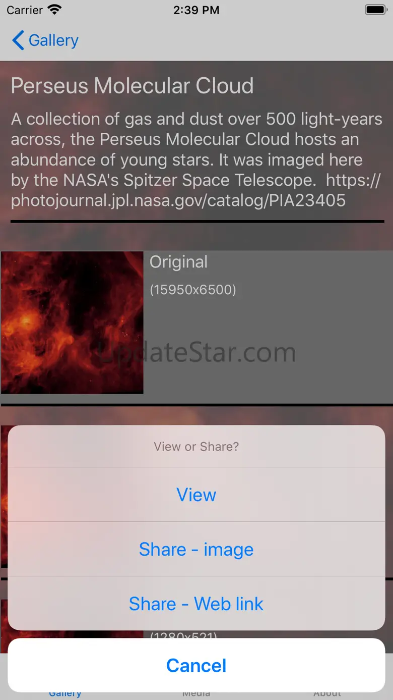 Spitzer Gallery 1.0-8