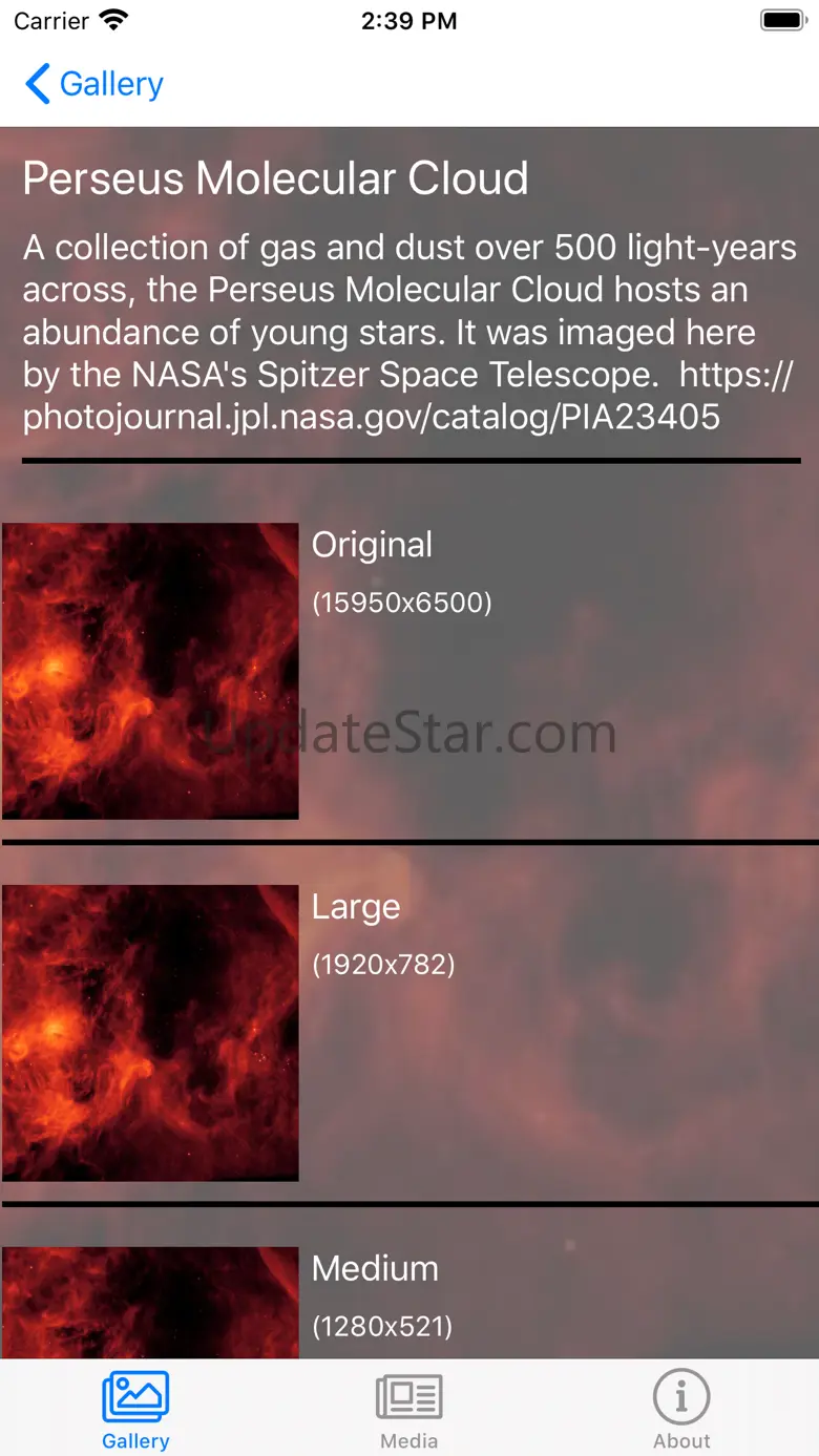 Spitzer Gallery 1.0-8