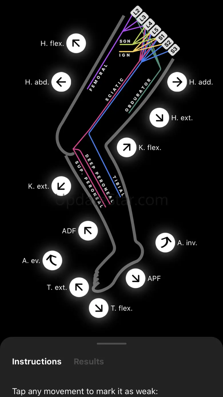 NM Localizer 1.0