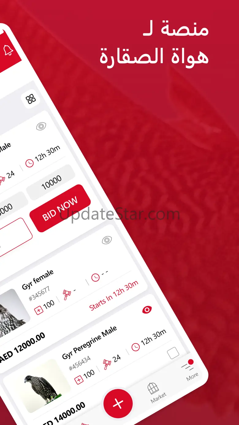 iFalcons 2.5