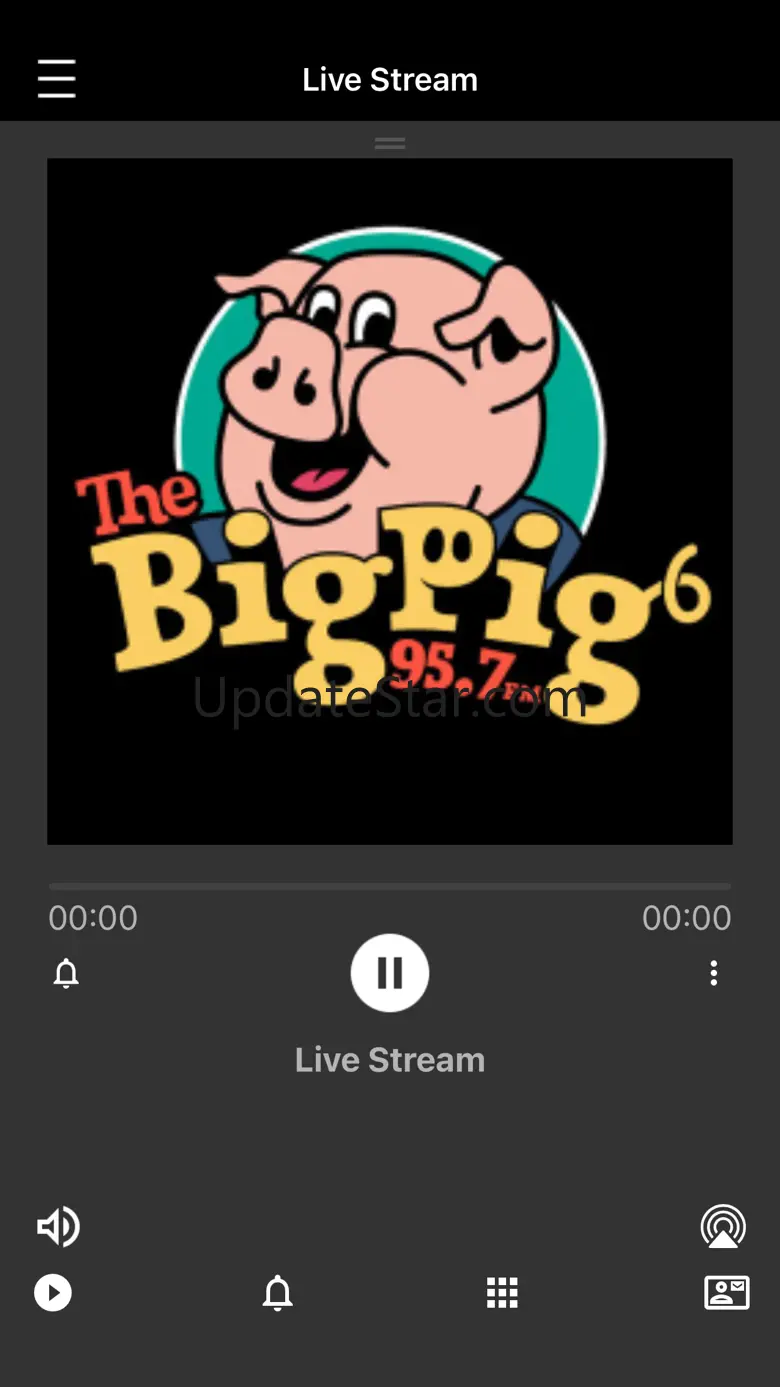 The Big Pig 11.0.62
