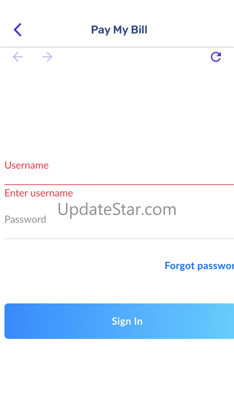 Airmax Internet 1.3