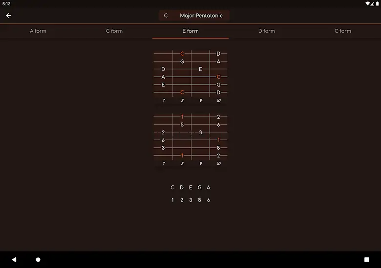 FretBuzz CAGED System 5.4