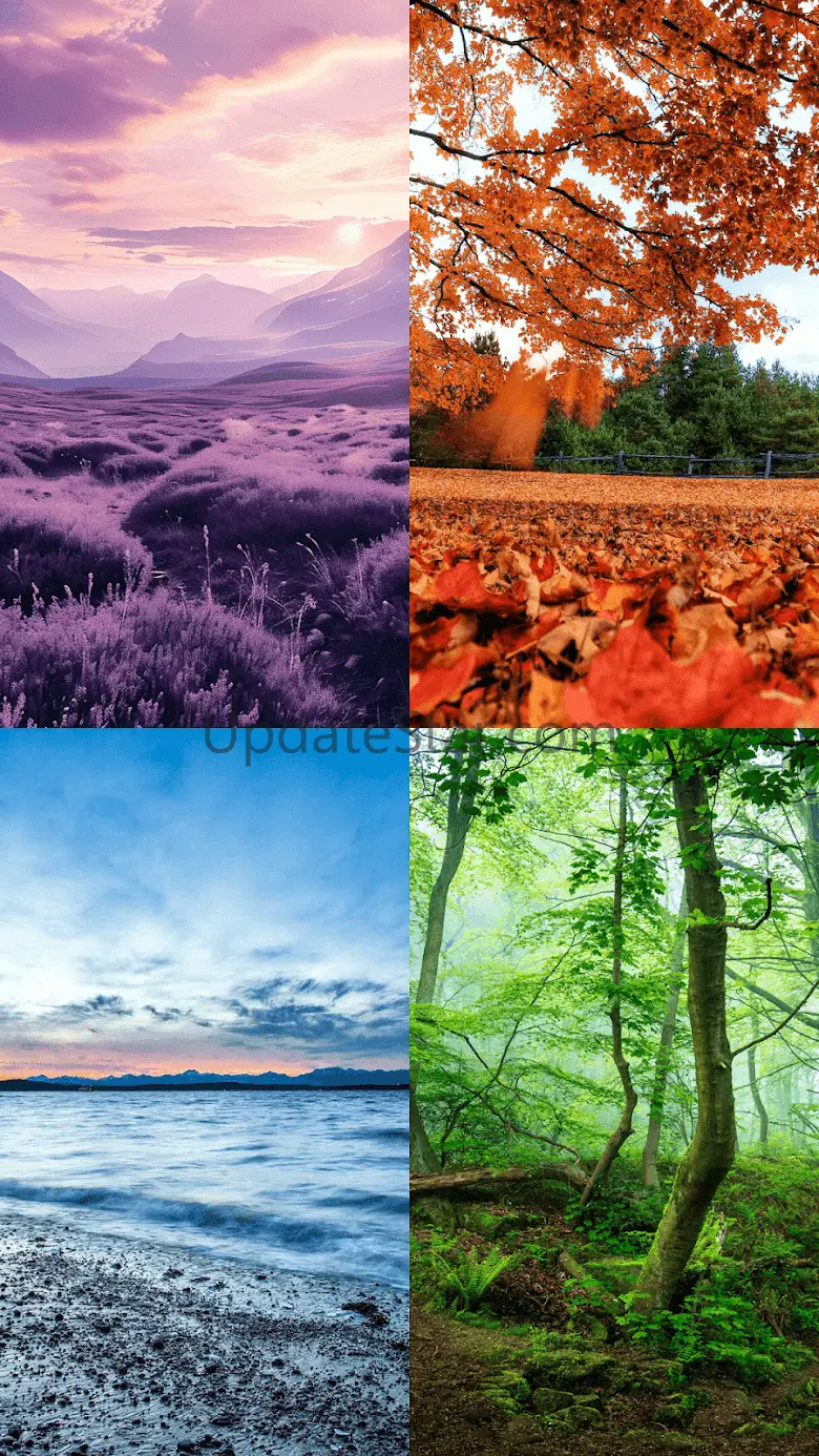 Image Search 1.0