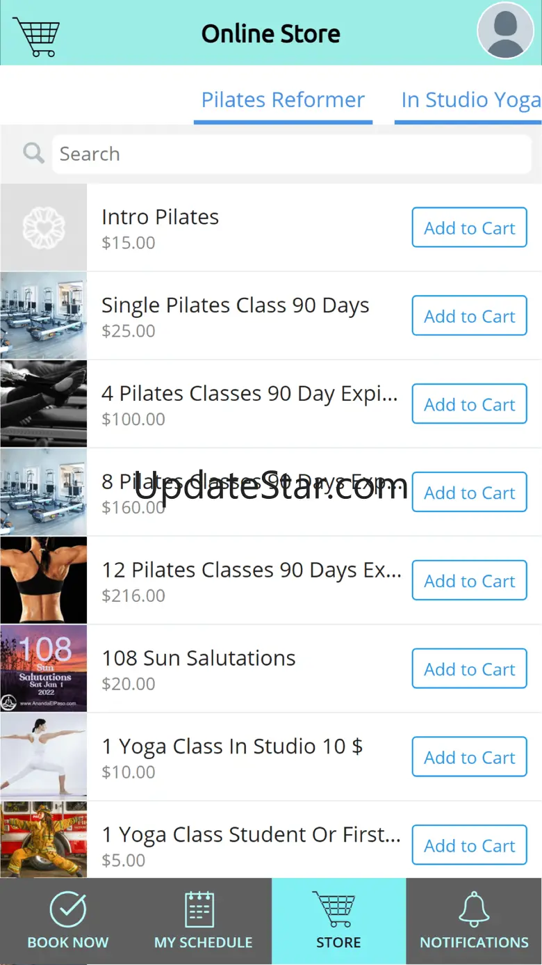 Ananda Yoga Pilates & Wellness 1.1