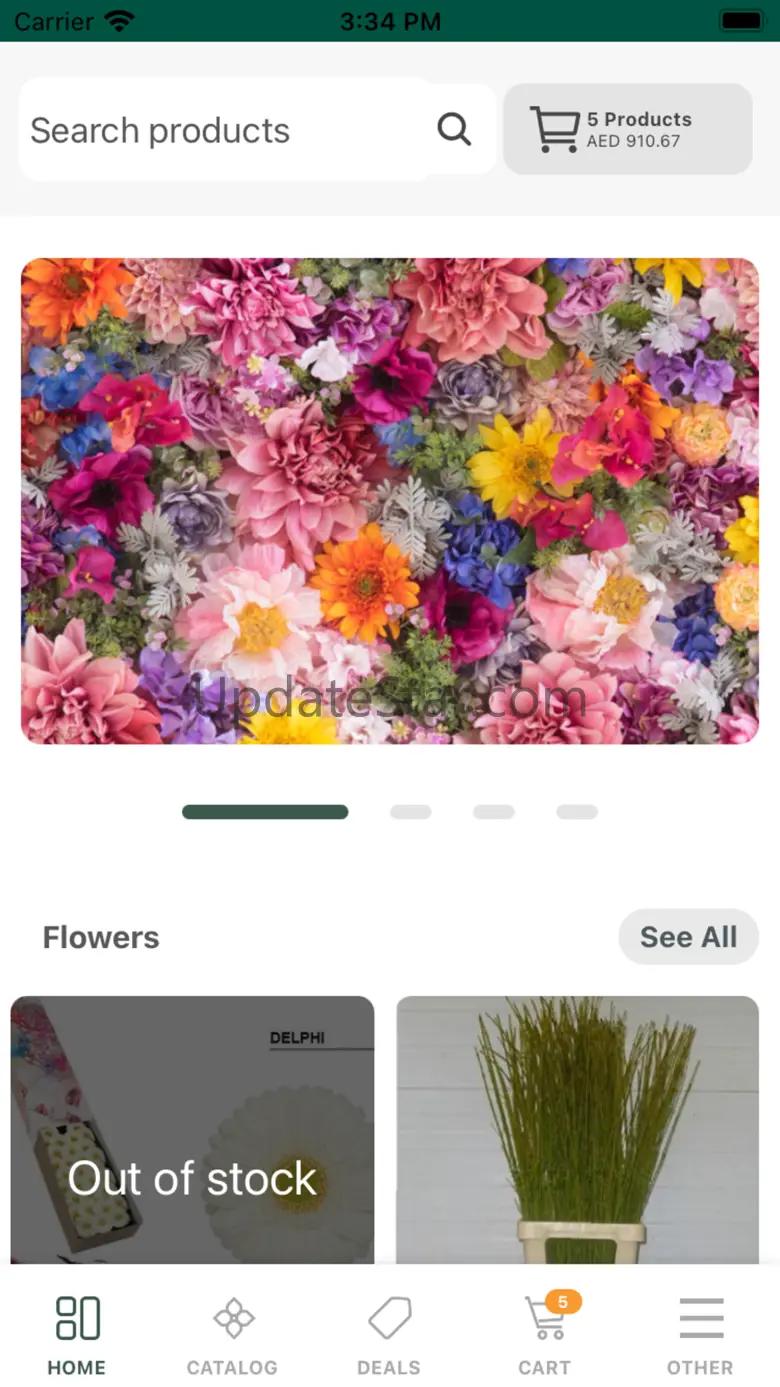 Floranow Marketplace 79