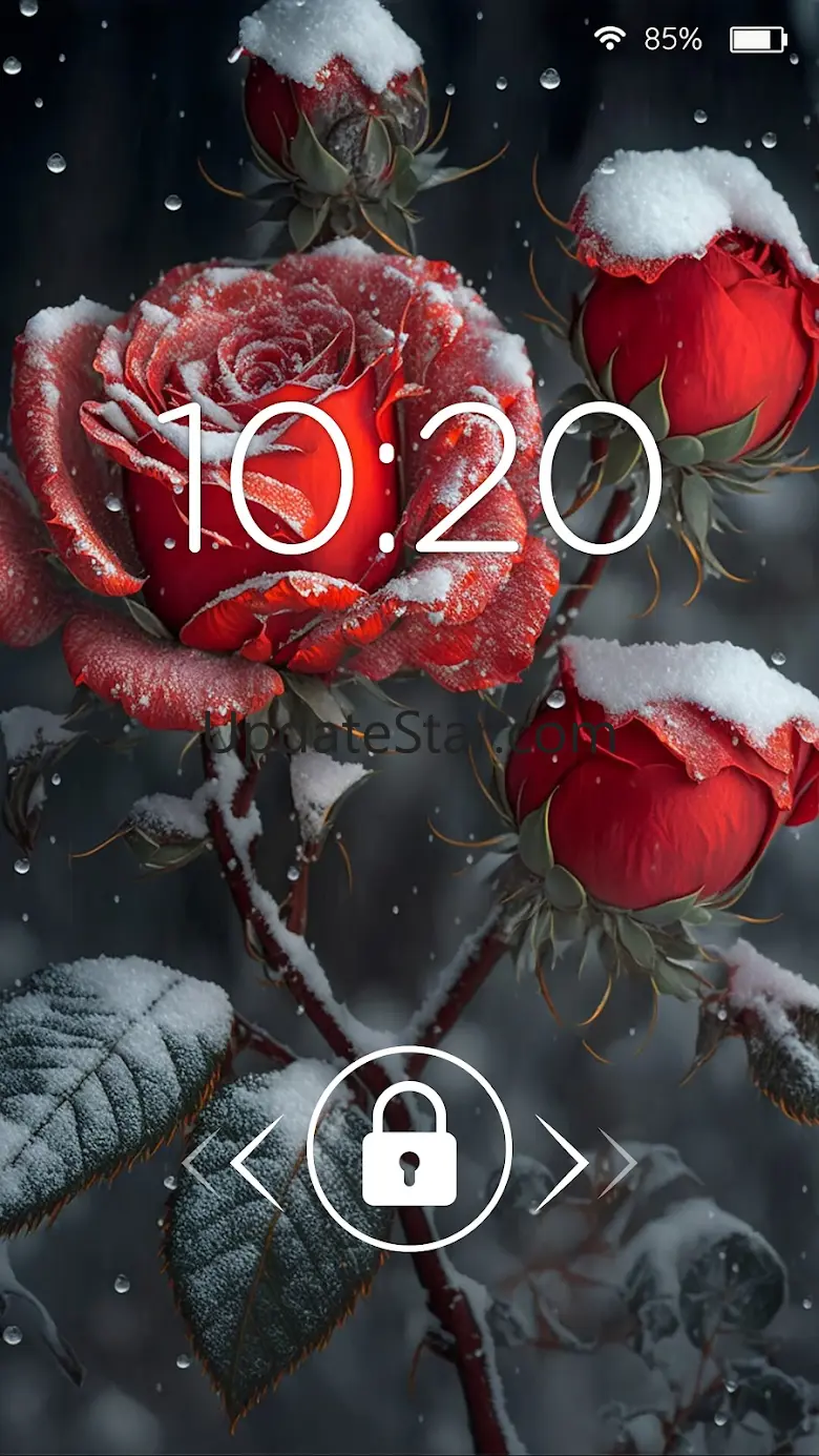 Beautiful wallpapers 4k 5.0.4