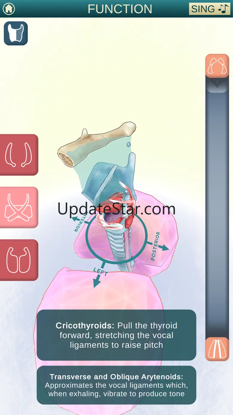 The Singing Larynx 1.0