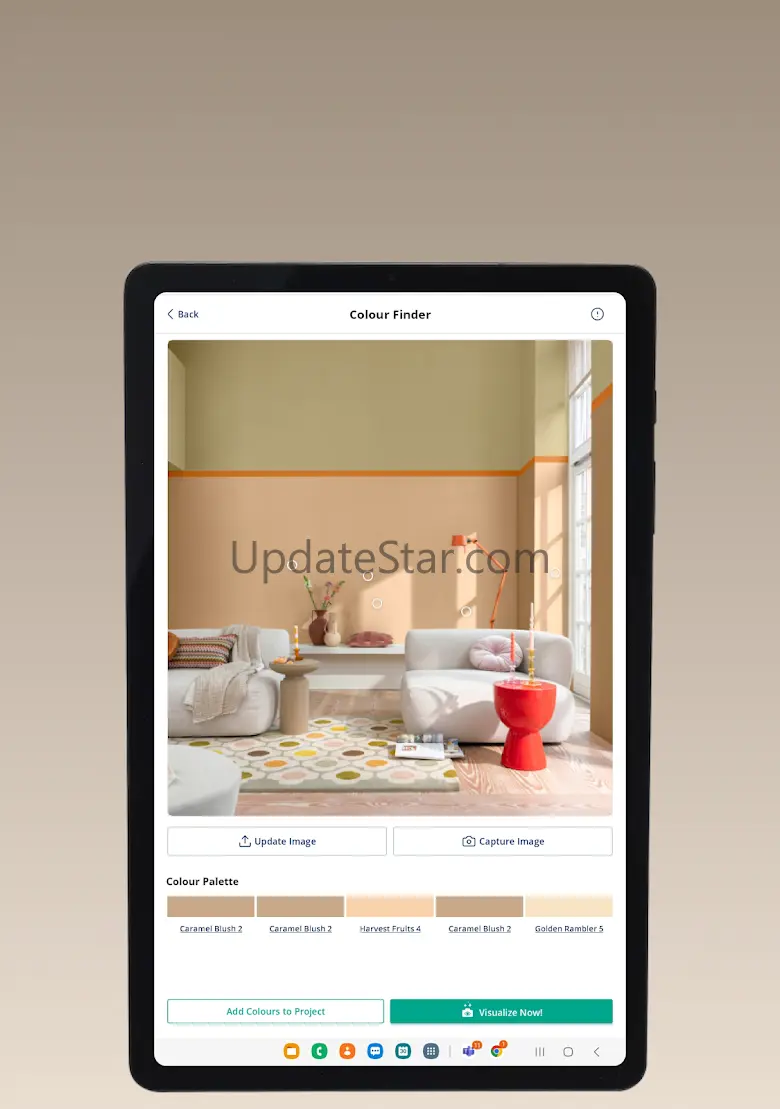 Dulux Visualizer IE 41.1.2