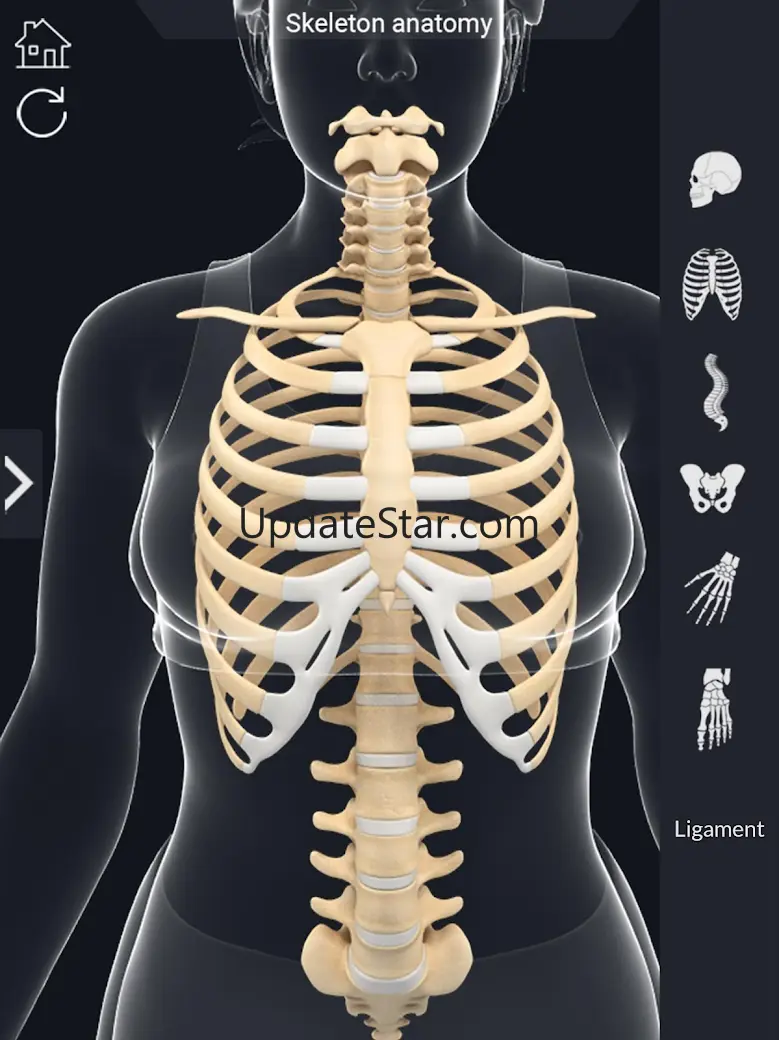 Skeleton Anatomy Pro. 2.5